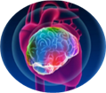 Afbeeldingsresultaat voor heart intelligent